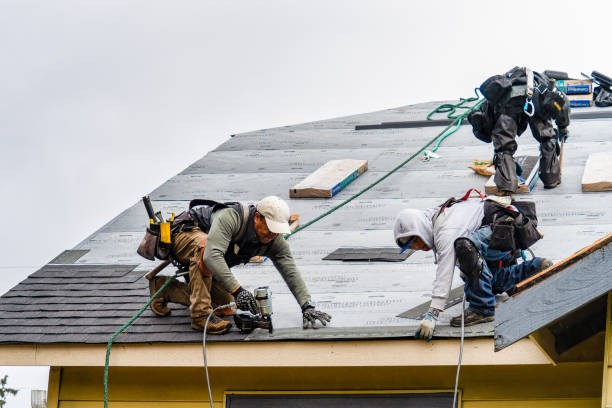 Professional Roofing technician working in Leonard, MN
